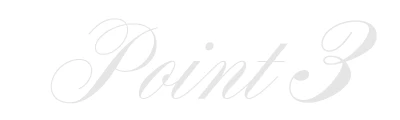 point03
