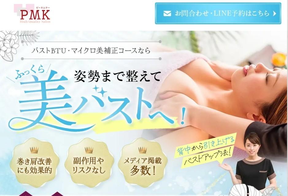 PMK（ピーエムケー）